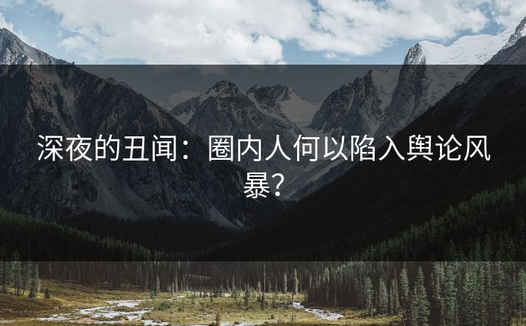 深夜的丑闻：圈内人何以陷入舆论风暴？